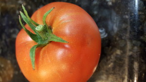 first tomato