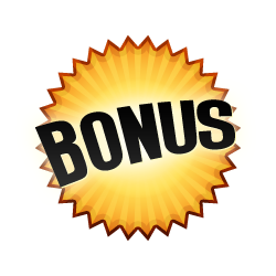 Bonus Burst Badge Orange